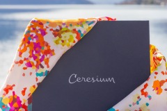 Ceresium-Porlezza-6