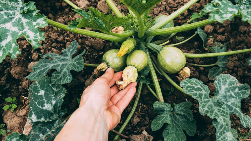 Tech used in agriculture