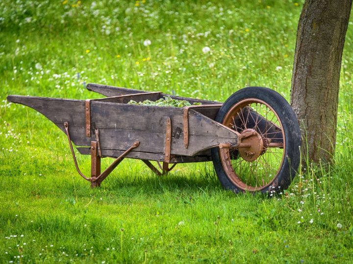 Vegetables in the wheel cart