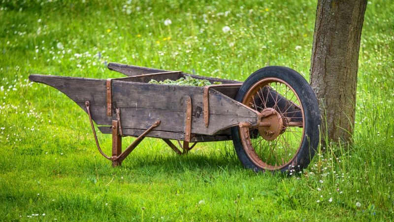 Vegetables in the wheel cart