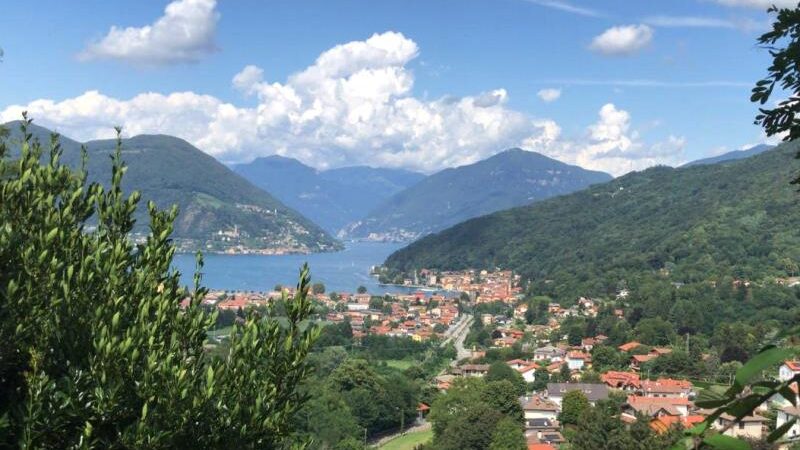 Besano tra mare e lago alla scoperta dei fossili